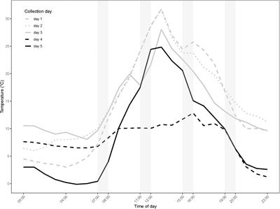 Rapid Adjustments in Thermal Tolerance and the Metabolome to Daily Environmental Changes – A Field Study on the Arctic Seed Bug Nysius groenlandicus